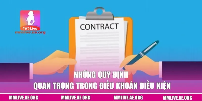 Những quy định trong điều khoản điều kiện MM live