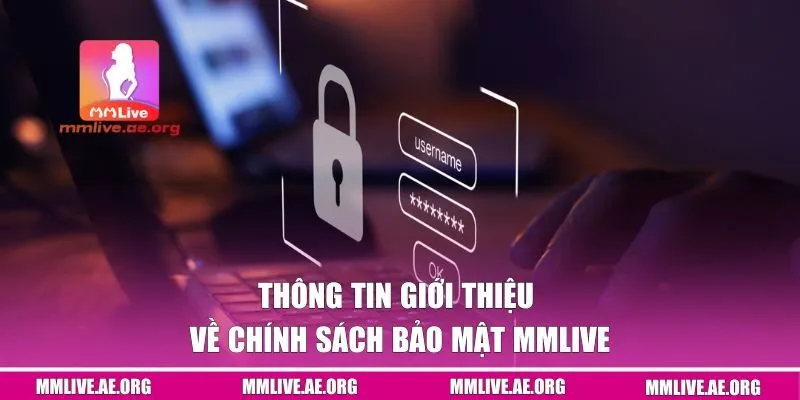 Thông tin giới thiệu về chính sách bảo mật MMLive